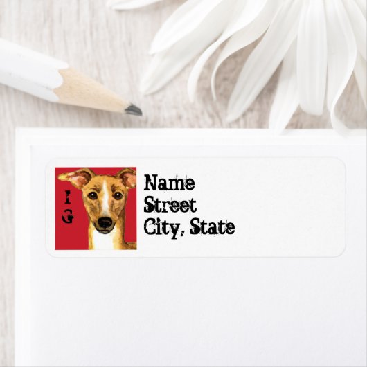 Italienischer Greyhound-Farbblock (Insitu)