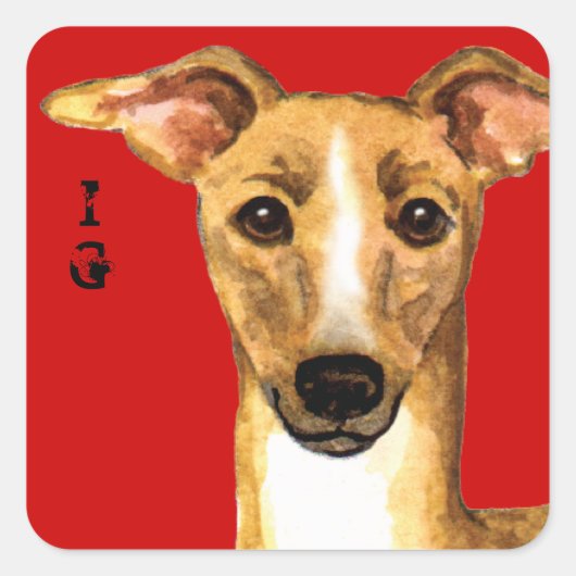 Italienischer Greyhound-Farbblock Quadratischer Aufkleber (Vorderseite)