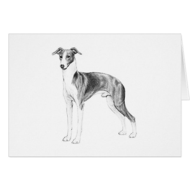 Italienischer Greyhound-Stil (Vorderseite (Horizontal))