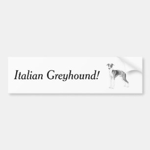 Italienischer Greyhound-Stil Autoaufkleber