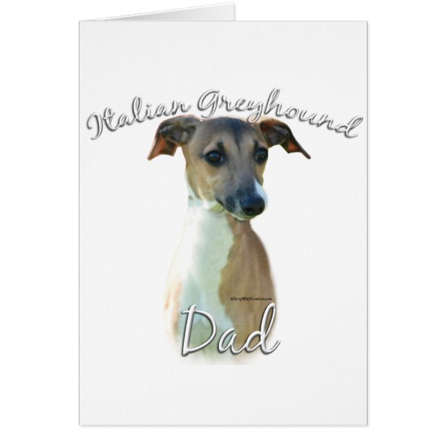 Italienischer Greyhound-Vater 2 (Vorne)