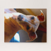 Italienischer Jagdhund. Puzzle (Horizontal)