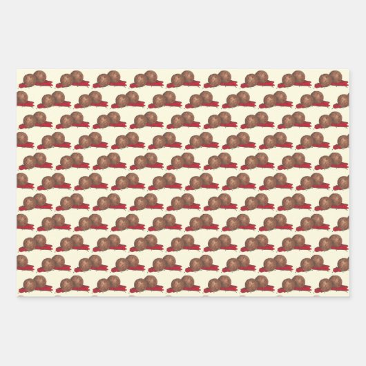 Italienischer Meatball Sub Marinara Sauce Knoblauc Geschenkpapier Set (Vorderseite)