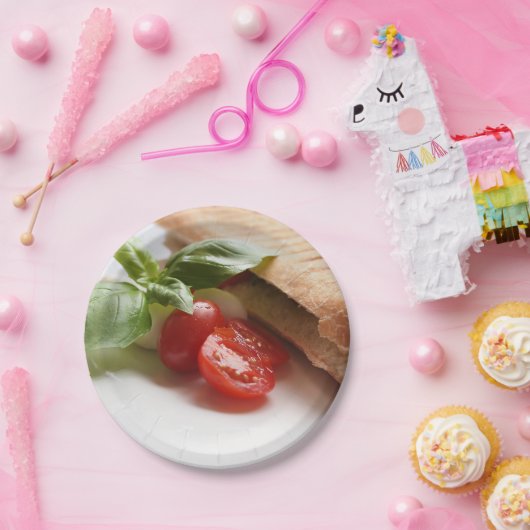 Italienischer Nahrungsmittelpapier-Teller Pappteller (Party)