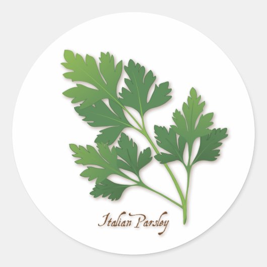 Italienischer Parsley Round Sticker (Vorderseite)