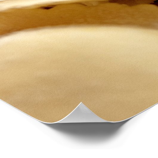 Italienischer Ravii Poster (Ecke)