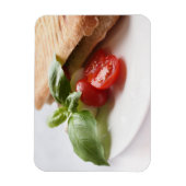 Italienischer rechteckiger Magnetmagnet Magnet (Vertikal)