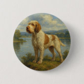 Italienischer Spinone Button (Vorderseite)