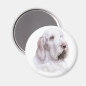 Italienischer Spinone Italiano Magnet (Vorderseite/Rückseite)