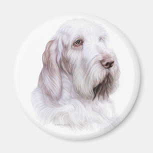 Italienischer Spinone Italiano Magnet