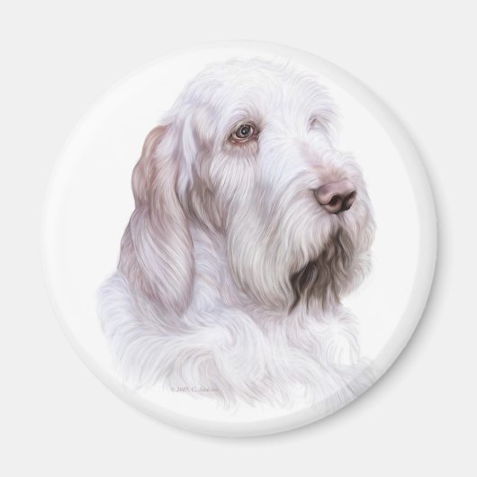 Italienischer Spinone Italiano Magnet (Vorne)