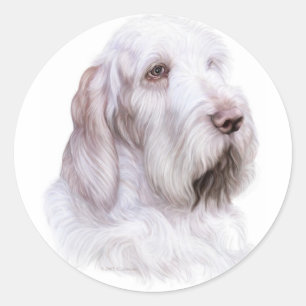 Italienischer Spinone Italiano Runder Aufkleber