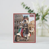 Italienischer Spinone Rom Postkarte (Stehend Vorderseite)