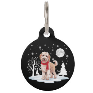Italienischer Spinone unter Mondlicht Schnee Weihn Haustiermarke