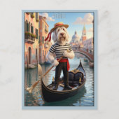 Italienischer Spinone Venedig Postkarte (Vorderseite)