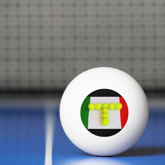 ITALIENISCHER TENNIS PONG BALL TISCHTENNISBALL (Netto)