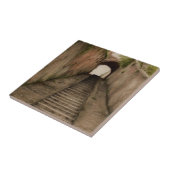 Italienischer Walkway Keramik Fliesen Untersetzer (Seite)