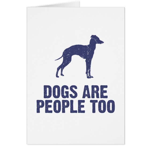 Italienischer Windhund (Vorne)