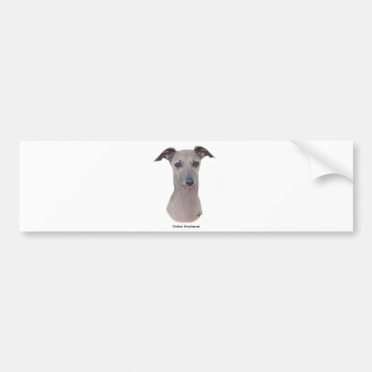 Italienischer Windhund 9K75D-11 Autoaufkleber (Vorne)