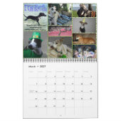 Italienischer Windhund flüstert Kalender 2014 (Mär 2027)