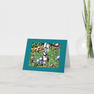 Italienischer Windhund im Garten Note Card Karte