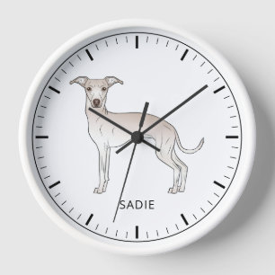Italienischer Windhund mit cremefarbenem Fell und  Uhr
