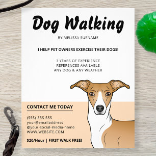 Italienischer Windhund Rehbraun und Weiß - Hundefü Flyer