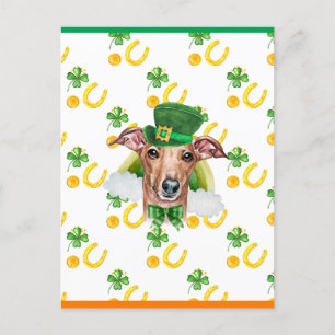 Italienischer Windhund Shamrock St. Patricks Tag Feiertagspostkarte