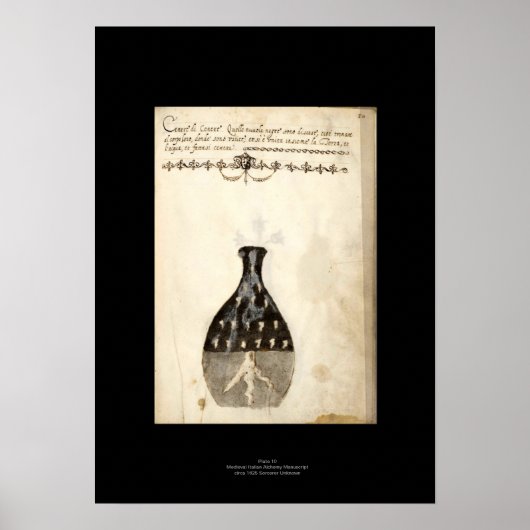 Italienisches Alchemy-Plakat 10 Poster (Vorne)