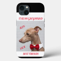 ITALIENISCHES GREYHOUND APPLE IPHONE 13 FALL & NAM