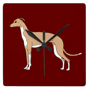 Italienisches Greyhound - Blauer Fleck Quadratische Wanduhr