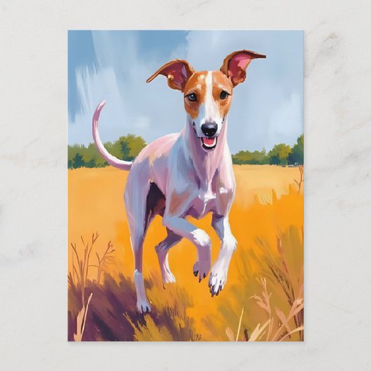 Italienisches Greyhound Dog Painting Postkarte (Vorderseite)