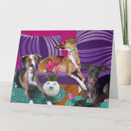 Italienisches Greyhound Dog Portrait, farbenfrohe Karte
