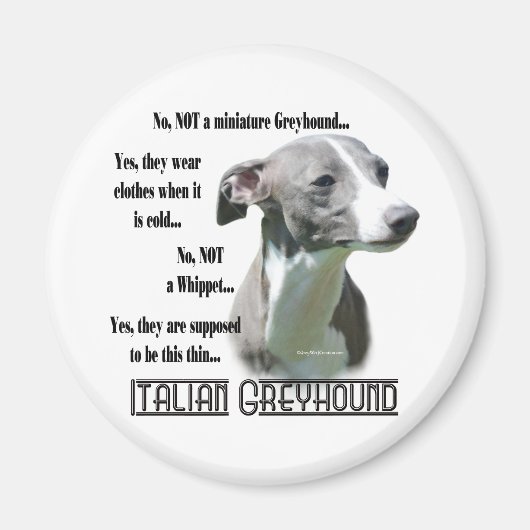 Italienisches Greyhound FAQ Magnet (Vorne)