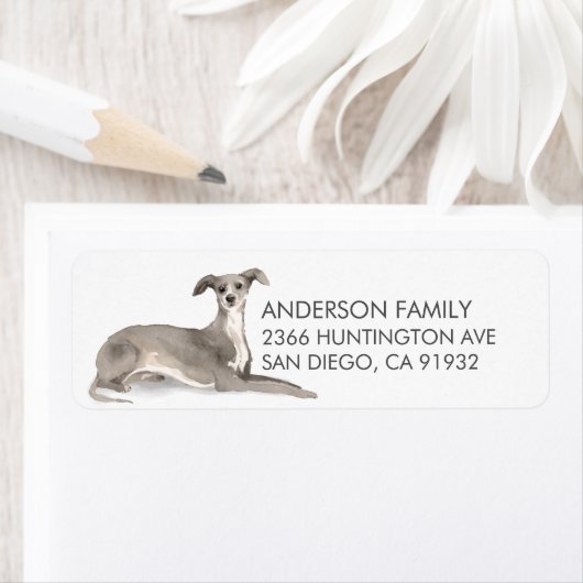 Italienisches Greyhound Hund Rücksendesiegel (Insitu)