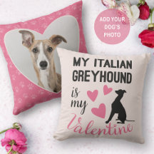 Italienisches Greyhound ist mein Valentine Dog Fot