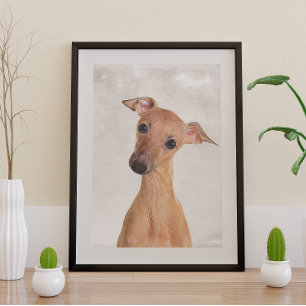 Italienisches Greyhound Poster
