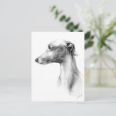 Italienisches Greyhound Whippet Hundeportrait zeic Postkarte (Stehend Vorderseite)