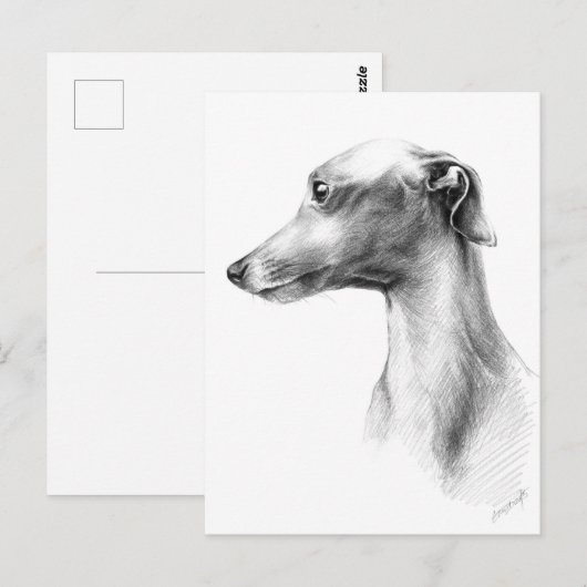 Italienisches Greyhound Whippet Hundeportrait zeic Postkarte (Vorne/Hinten)