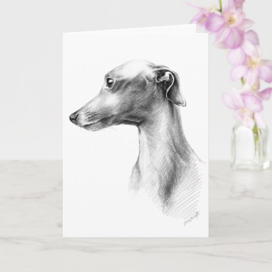 Italienisches Greyhound Whippet Hundportrait zeich Karte (Orchidee)