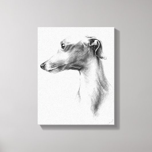 Italienisches Greyhound Whippet Hundportrait zeich Leinwanddruck (Vorderseite)