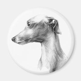 Italienisches Greyhound Whippet Hundportrait zeich Magnet