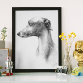 Italienisches Greyhound Whippet Hundportrait zeich Poster