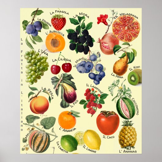 Italienisches Obst-Sprachdiagramm  Poster (Vorne)