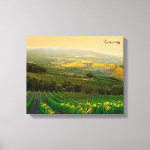 Italienisches Weinberg-Foto Toskana Italien Leinwanddruck