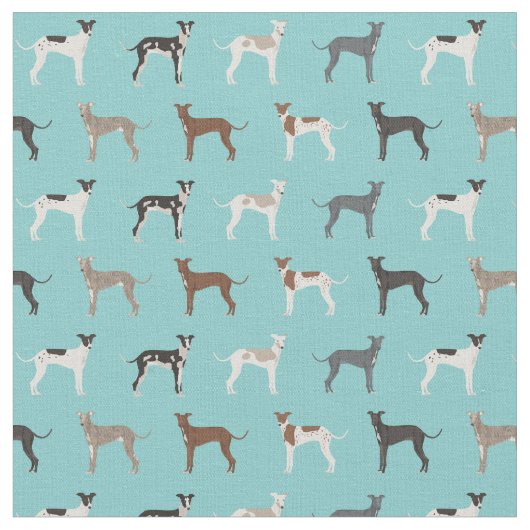Italienisches Windhund-Stoff-Hellblau Stoff (Nahaufnahme)
