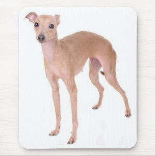 Italienisches Windhund-Welpen-Mauspad Mousepad