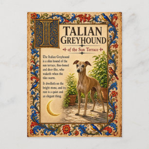 Italienisches Windspiel, mittelalterliche Bestiari Postkarte