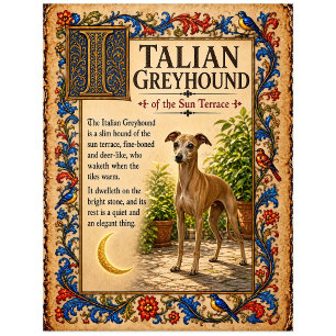 Italienisches Windspiel, mittelalterliche Bestiari Postkarte