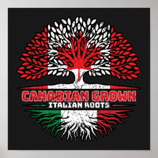 Italy Italian Canadian Canada Tree Roots Flag Poster (Vorne)